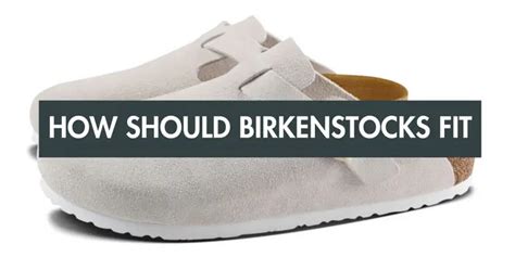 how should birkenstock boston fit.